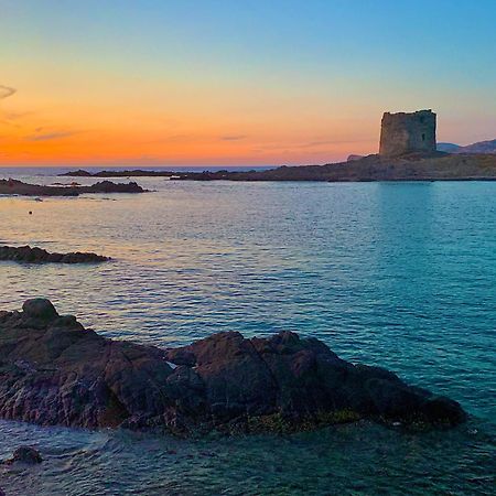 Апартаменты L' Elicriso, A Pochi Passi Dal Mare Con Giardino Privato - The Elicriso, A Few Meters From The Sea, With Private Garden Стинтино Экстерьер фото
