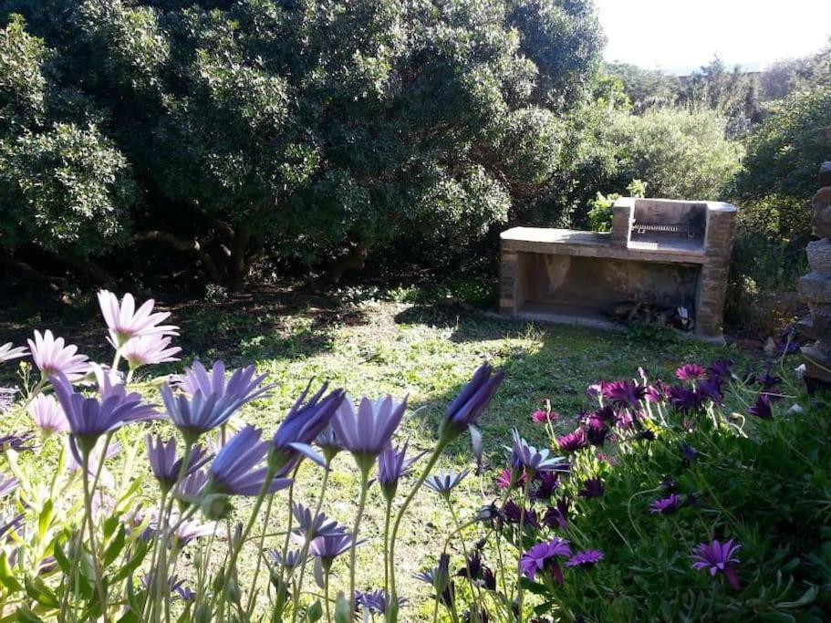 Апартаменты L' Elicriso, A Pochi Passi Dal Mare Con Giardino Privato - The Elicriso, A Few Meters From The Sea, With Private Garden Стинтино Экстерьер фото