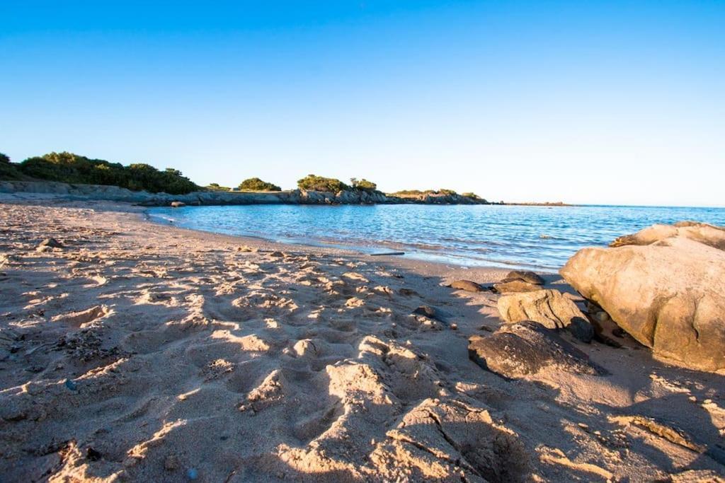 Апартаменты L' Elicriso, A Pochi Passi Dal Mare Con Giardino Privato - The Elicriso, A Few Meters From The Sea, With Private Garden Стинтино Экстерьер фото