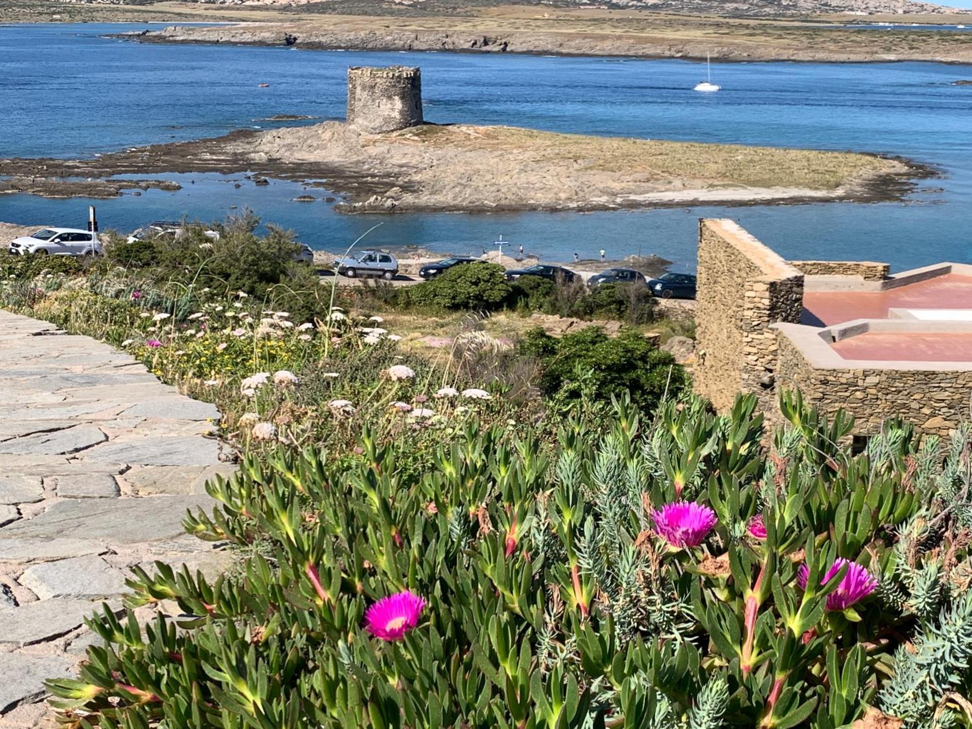 Апартаменты L' Elicriso, A Pochi Passi Dal Mare Con Giardino Privato - The Elicriso, A Few Meters From The Sea, With Private Garden Стинтино Экстерьер фото