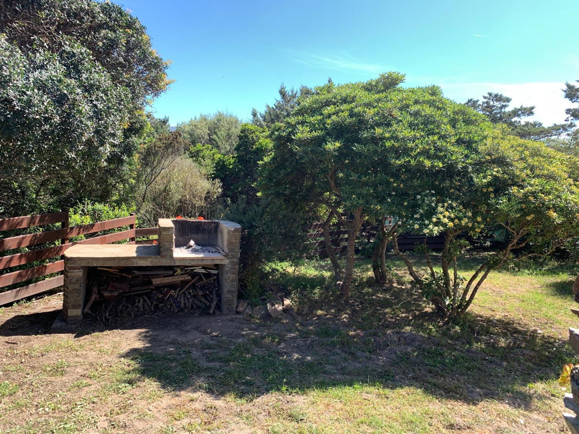 Апартаменты L' Elicriso, A Pochi Passi Dal Mare Con Giardino Privato - The Elicriso, A Few Meters From The Sea, With Private Garden Стинтино Экстерьер фото