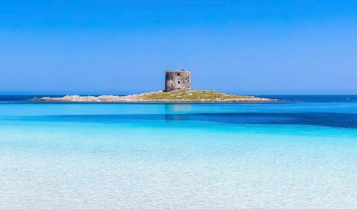 Апартаменты L' Elicriso, A Pochi Passi Dal Mare Con Giardino Privato - The Elicriso, A Few Meters From The Sea, With Private Garden Стинтино Экстерьер фото