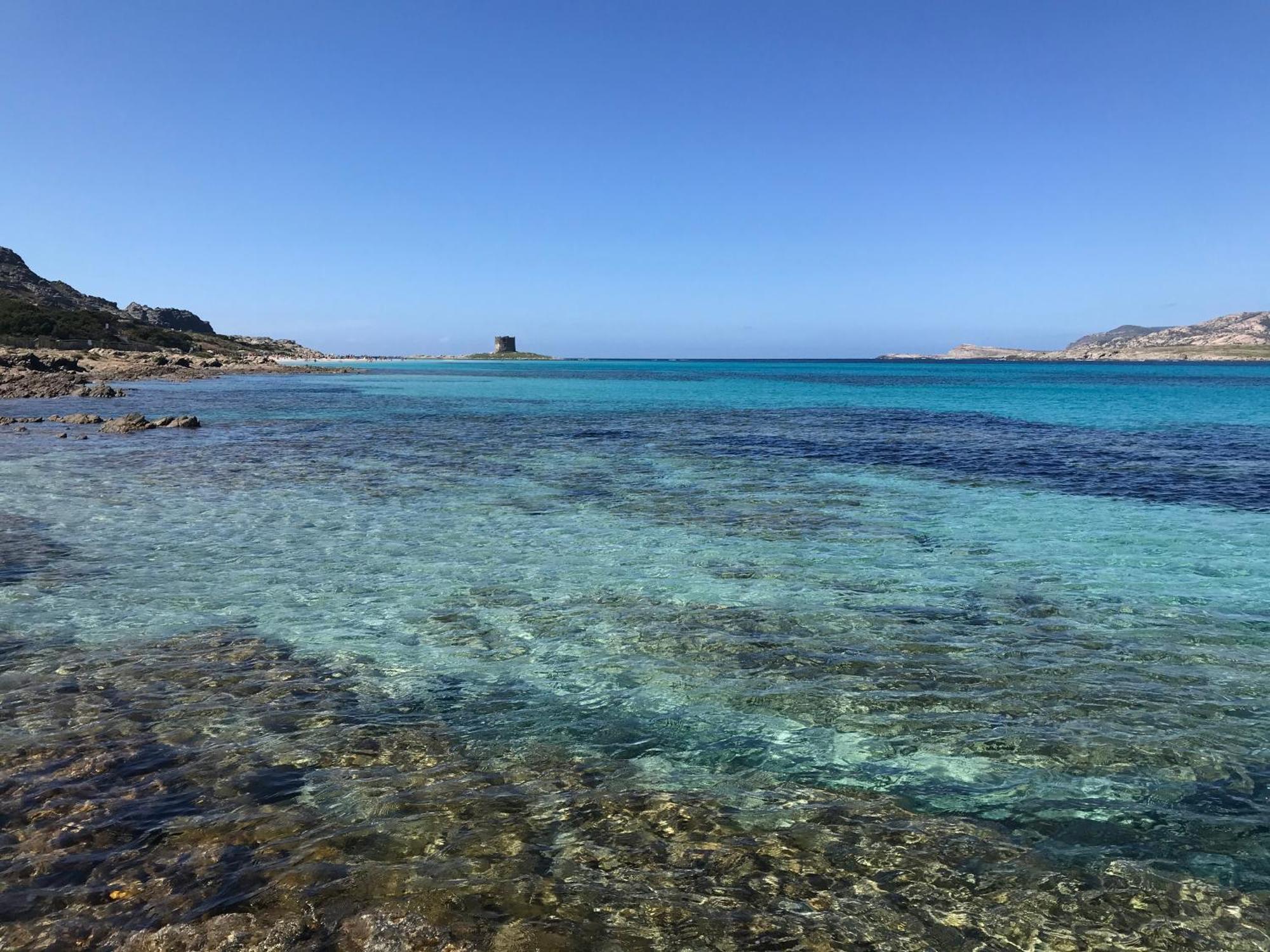 Апартаменты L' Elicriso, A Pochi Passi Dal Mare Con Giardino Privato - The Elicriso, A Few Meters From The Sea, With Private Garden Стинтино Экстерьер фото